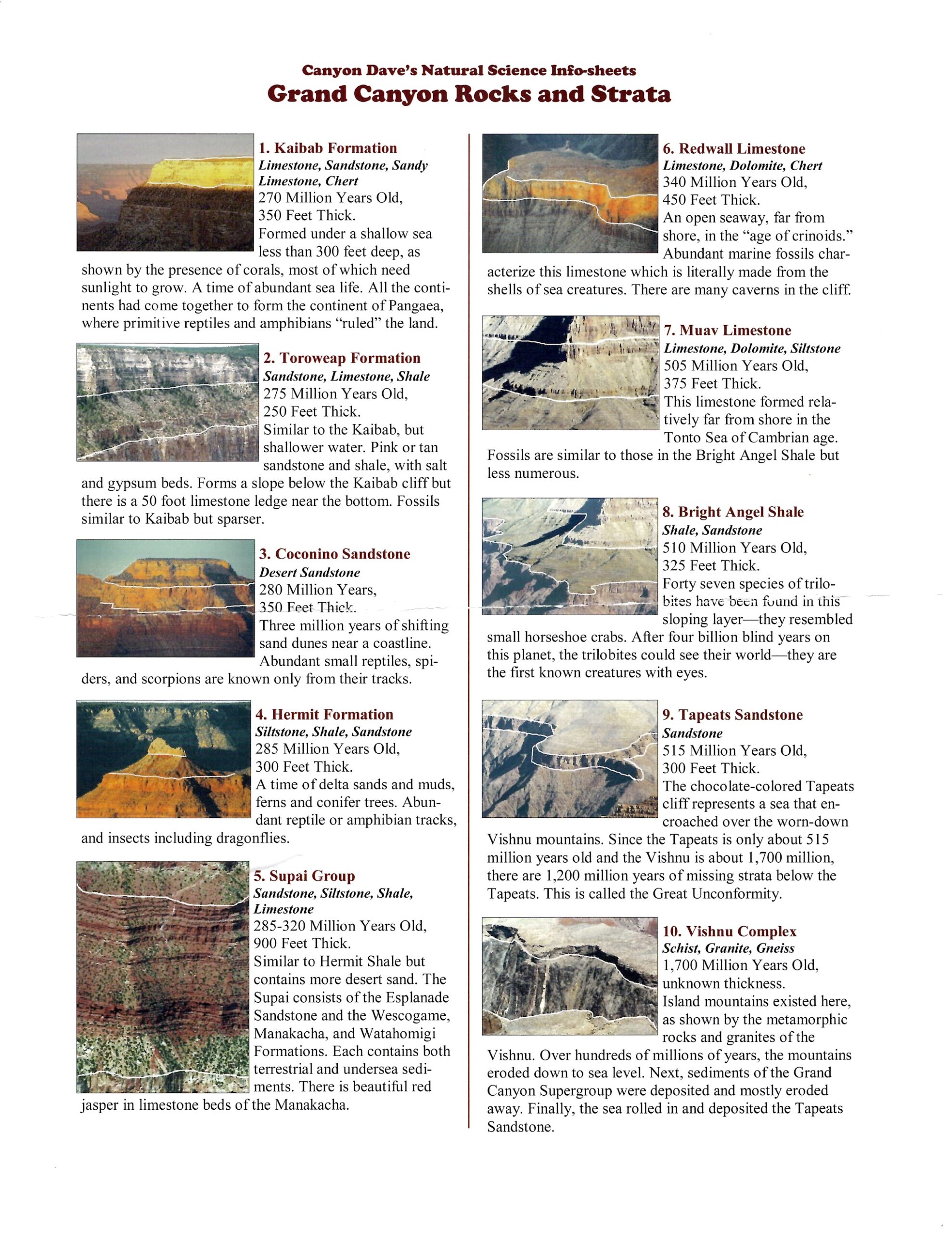 Grand Canyon Rocks and Strata handout with photographs identifying ten major formations and their ages.
