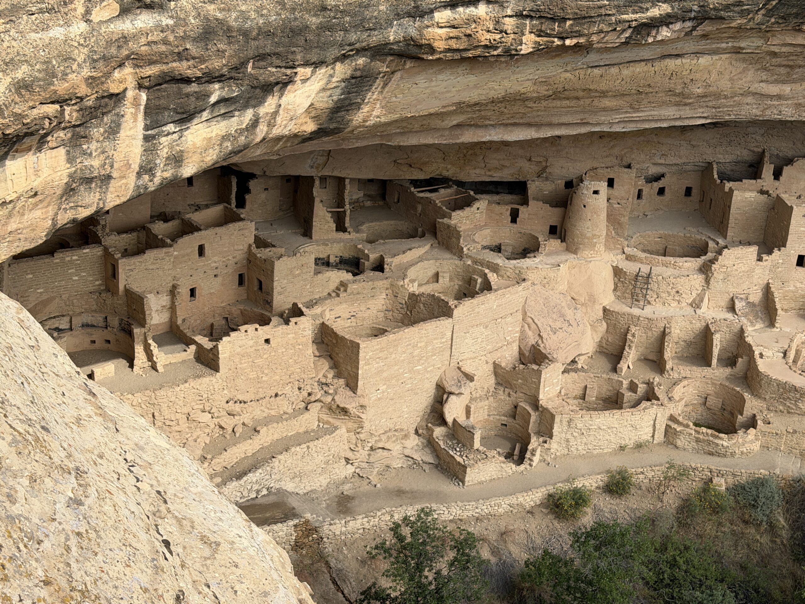 Cliff dwellings at Mesa Verde National Park.