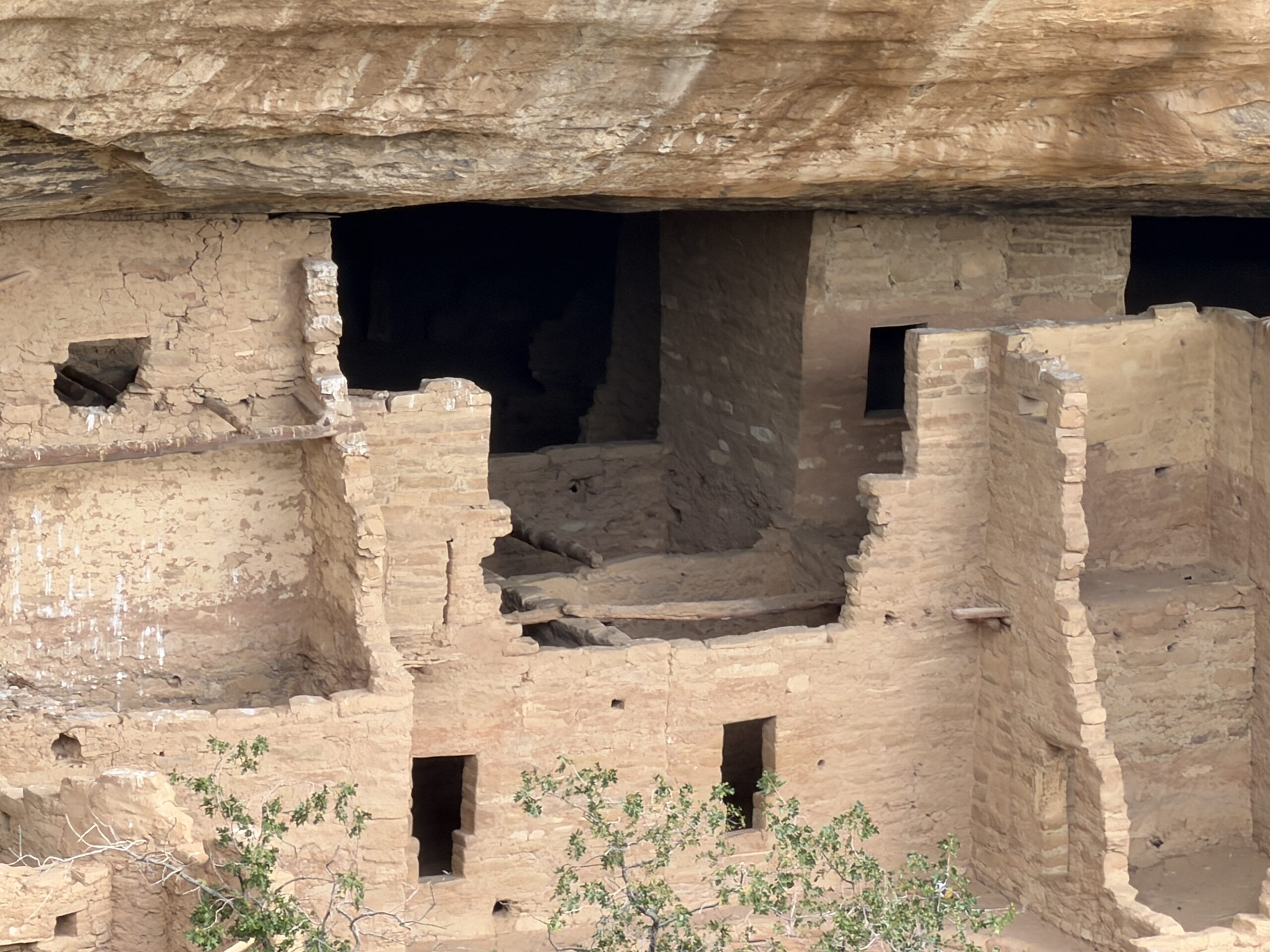 A close view of an Ancestral Pueblo dwelling at Mesa Verde.