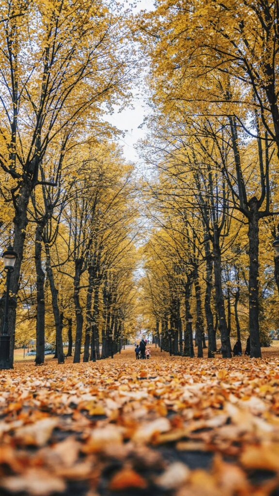 Winter Park, Florida: Culture, Walkability, and a Different Side of Central Florida