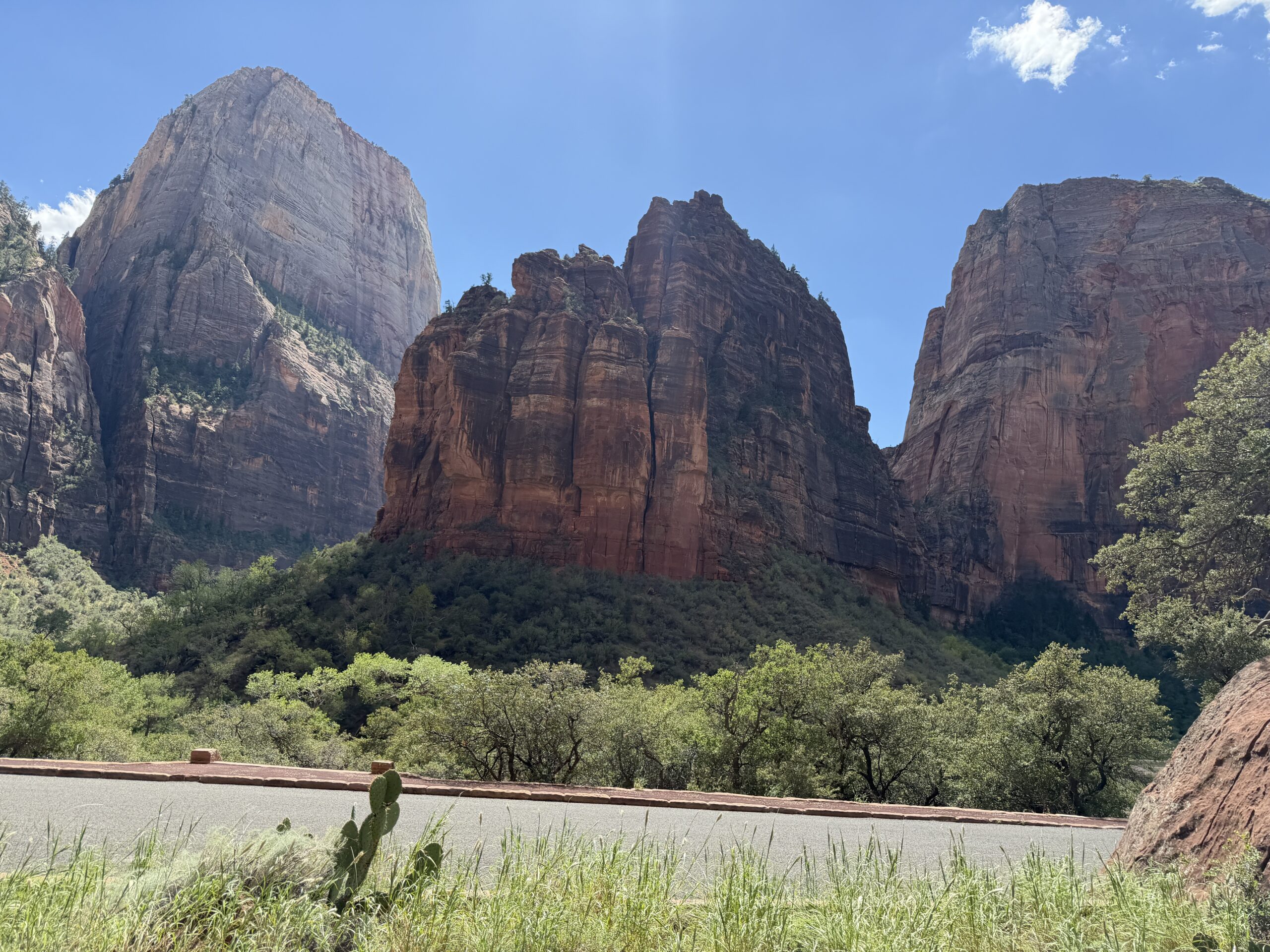 Zion National Park surrounds visitors with towering sandstone walls.